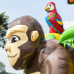 multiplay-safari-4_2_orig