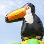 multiplay-safari-5_2_orig