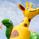 multiplay-safari-6_2_orig